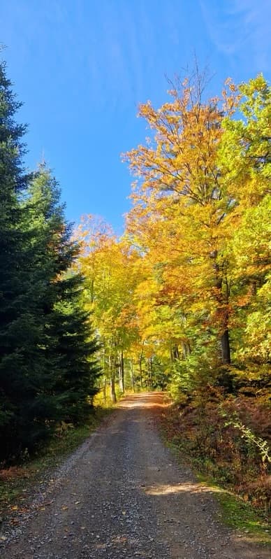 Mountain trails